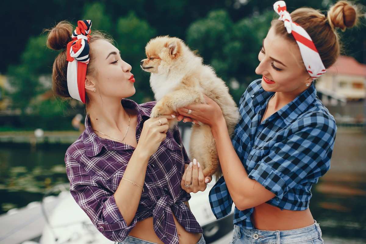 Stylish girls posing with a fluffy dog by the lake, sharing fun and love with their furry companion. Family-Friendly Knock-Knock Jokes: 